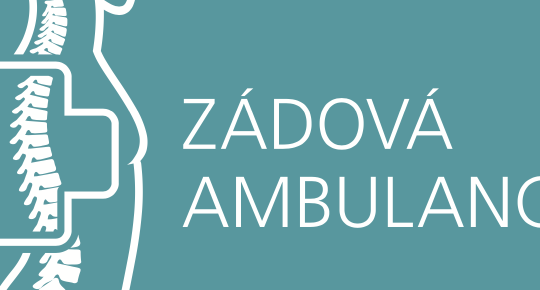 Hlasování pro Zádovou ambulanci